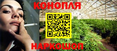 сатива Ставрополь
